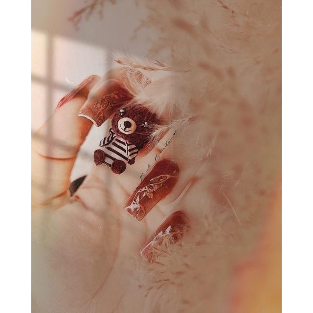 Nail Box thiết kế_ gấu _phom vuông_màu bột siêu hot