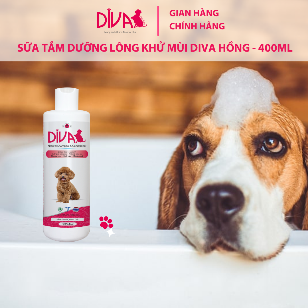 Sữa Tắm Dưỡng Ẩm DIVA Formula 2 New (400ml)