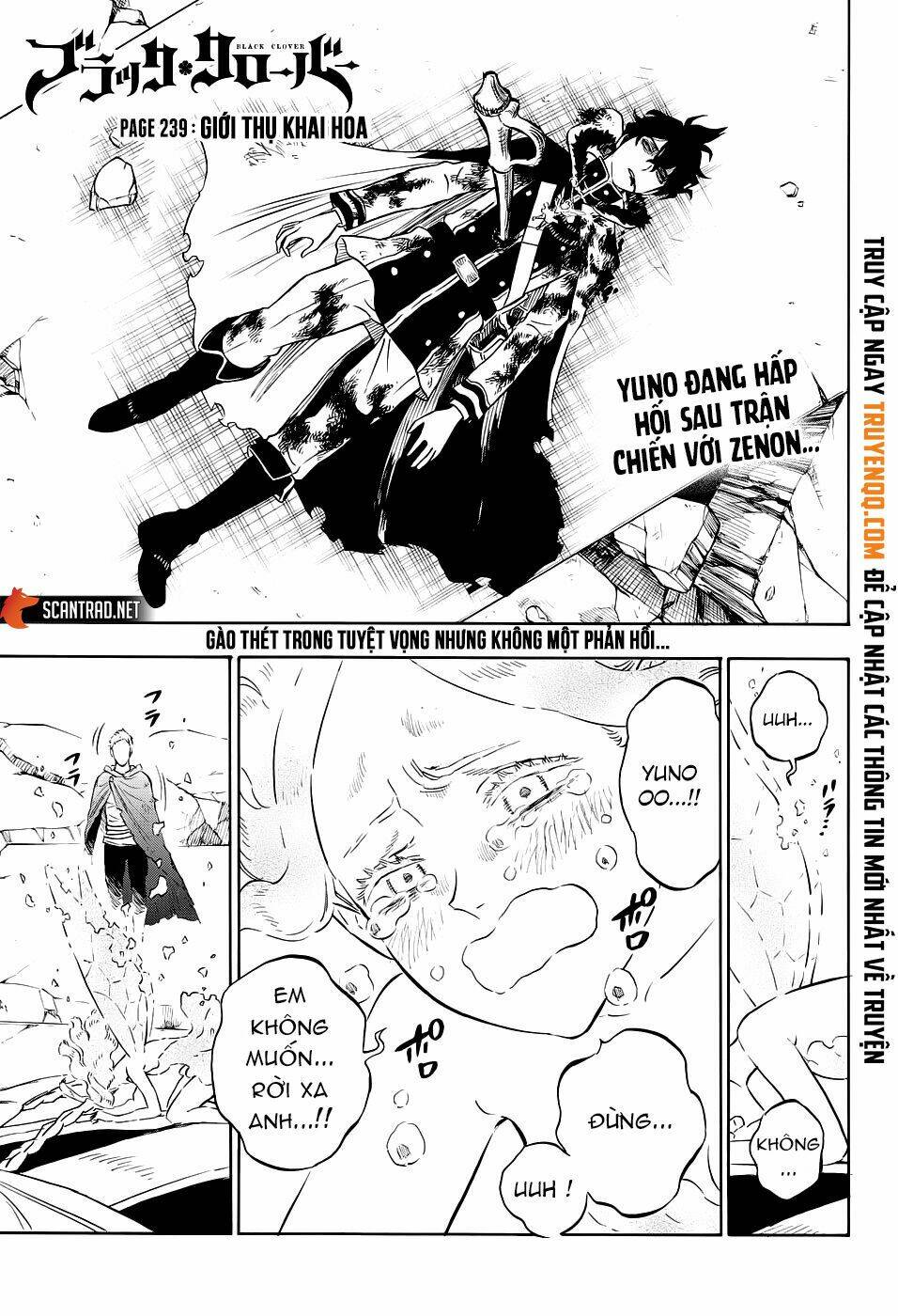 black clover - pháp sư không phép thuật chapter 239 2