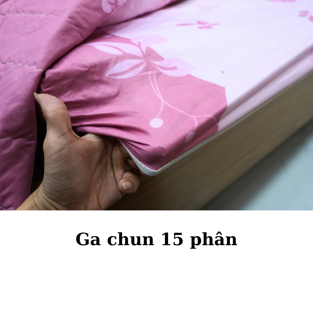 Bộ Drap Giường Có Chăn Hoa Xanh