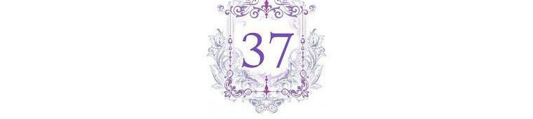 xin hãy kết hôn với em chapter 37 9