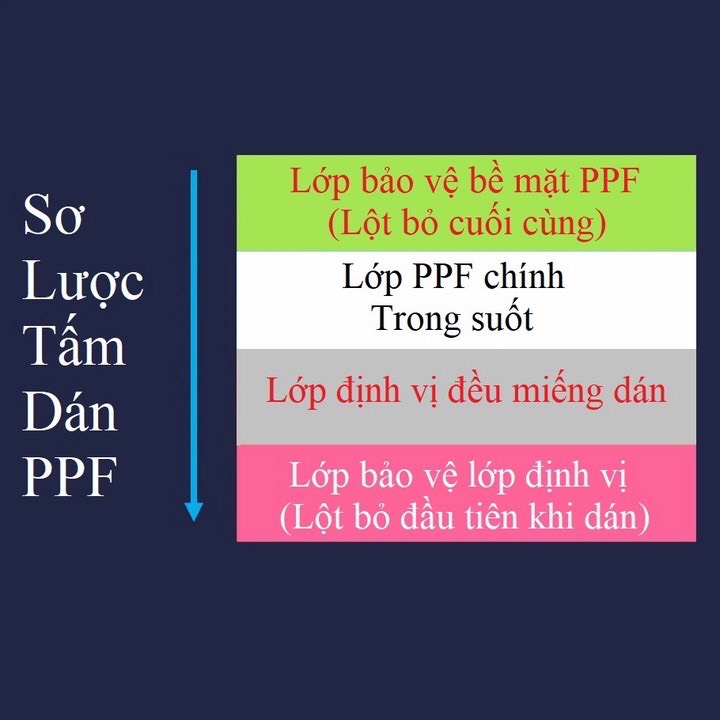 Miếng Dán PPF mặt lưng dành cho VIVO V23 5G / V23E / V21 5G / V20 Bảo vệ máy tránh trầy xước,...