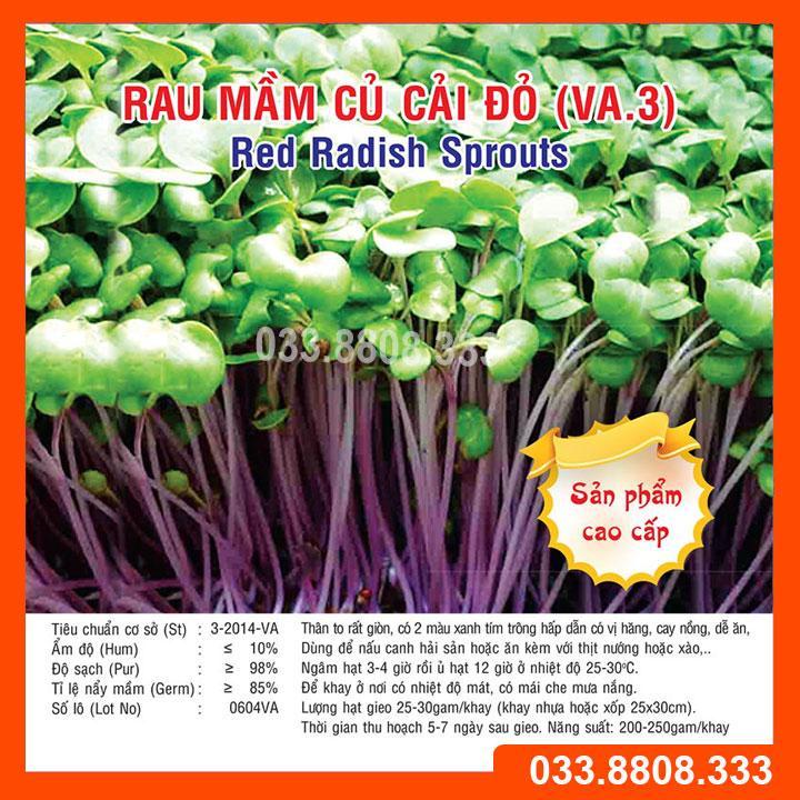 1KG HẠT GIỐNG RAU MẦM CỦ CẢI ĐỎ NHANH NẢY MẦM