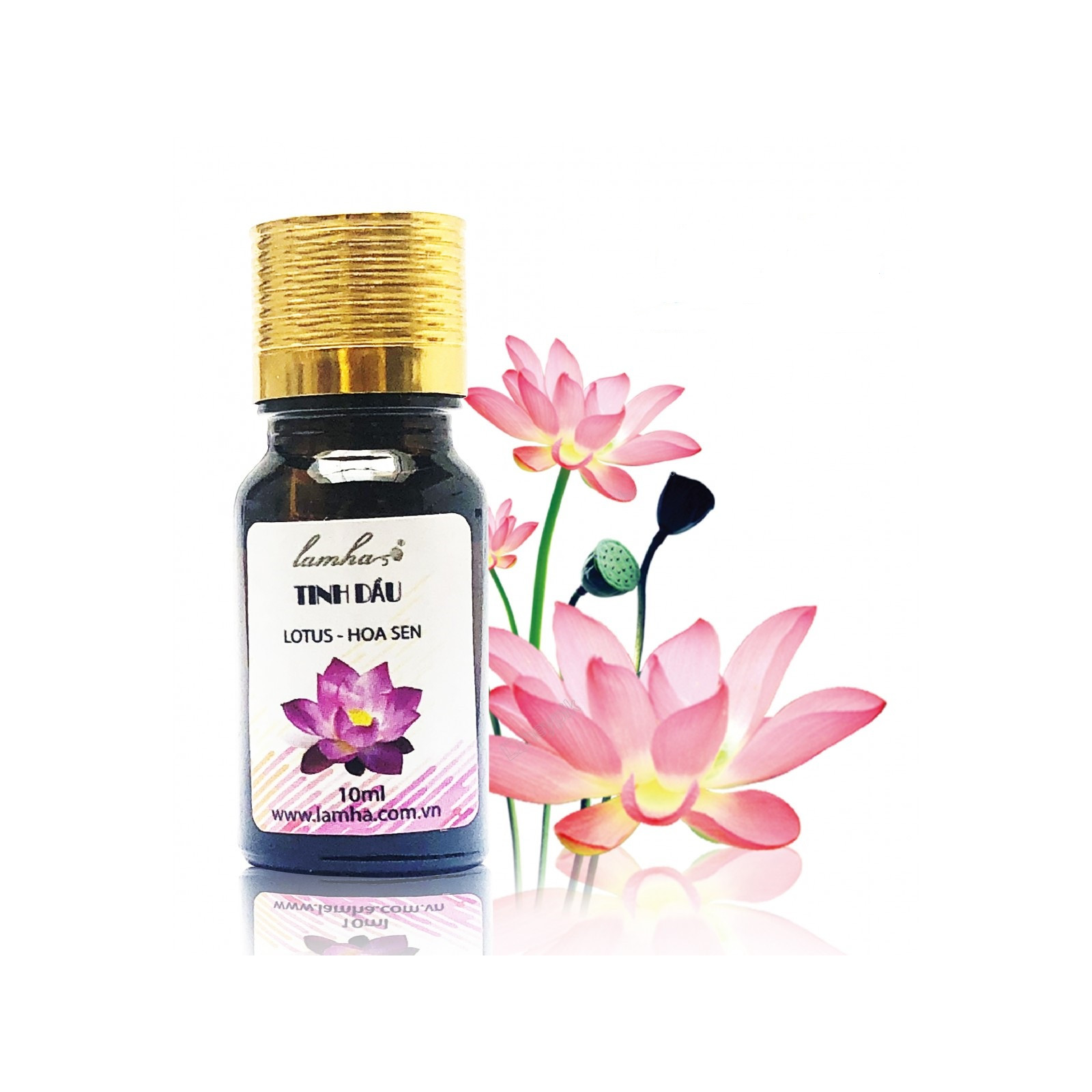 Tinh dầu Hoa Sen Lam Hà Lotus (10ml):có mùi hương dễ chịu, giúp cơ thể thanh tịnh, giúp ngủ ngon