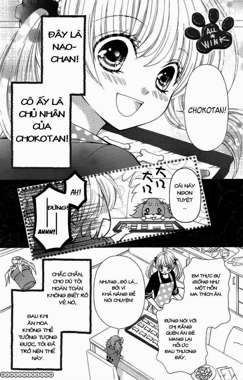 chokotan! chapter 1 4