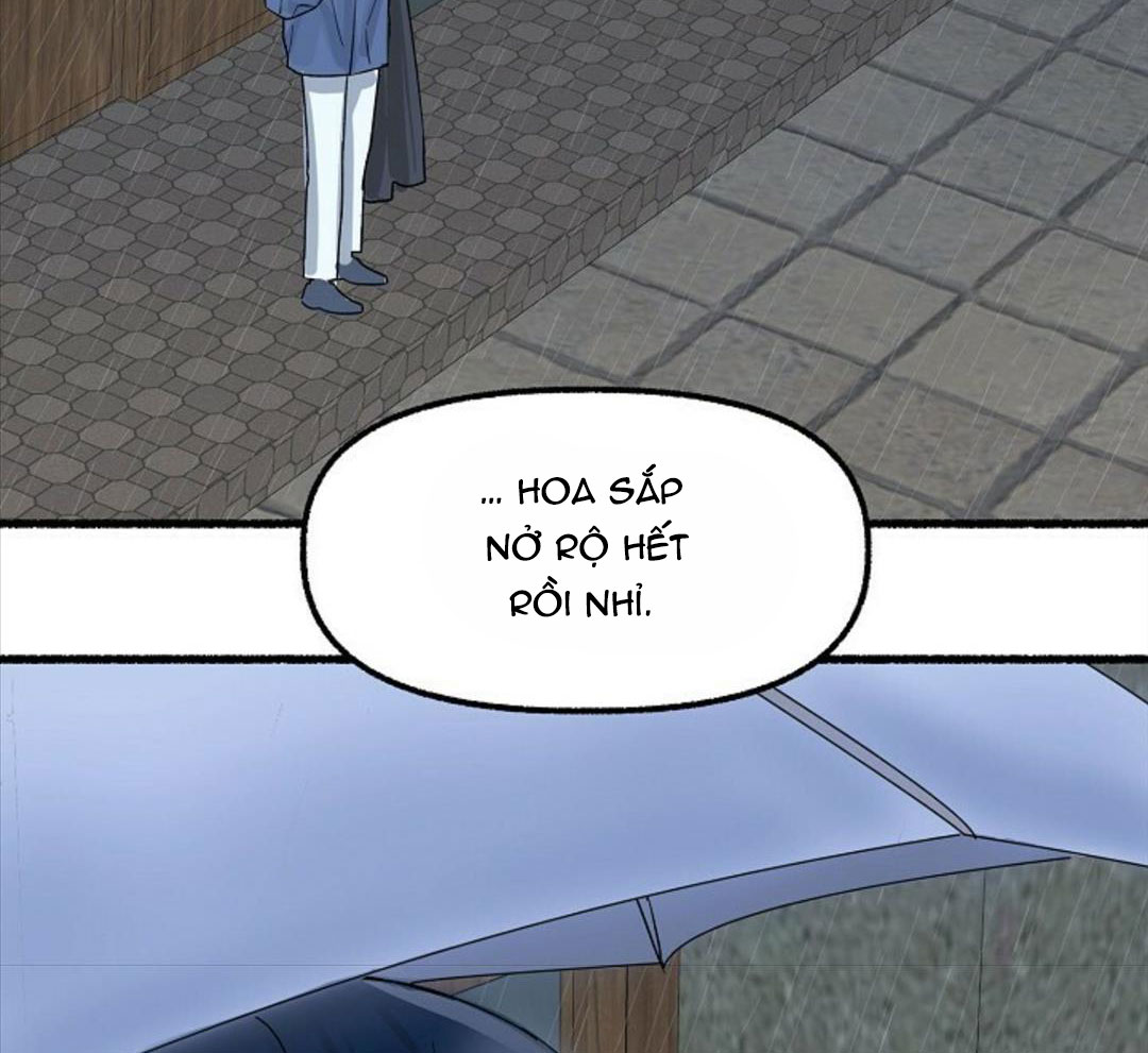 hoa triều chapter 23 136