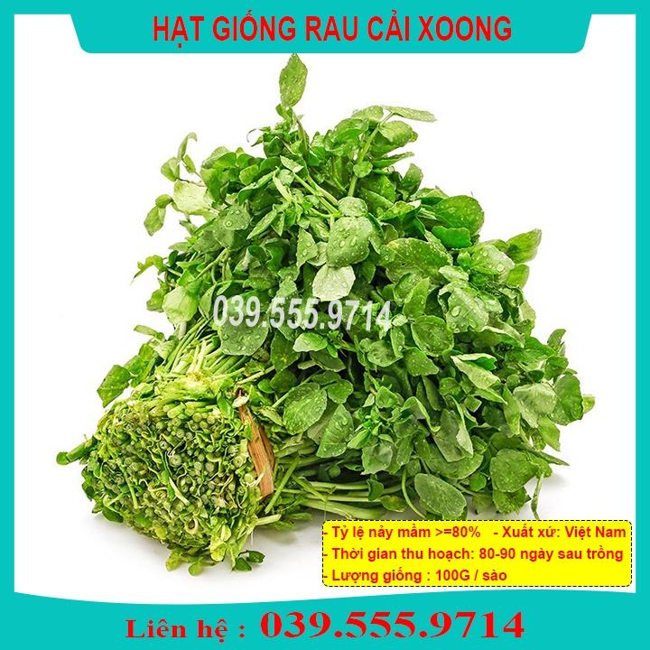 Hạt Giống Rau Cải Xoong ( cải Xong) trồng tại vườn, sân thượng, nông trang, ban công