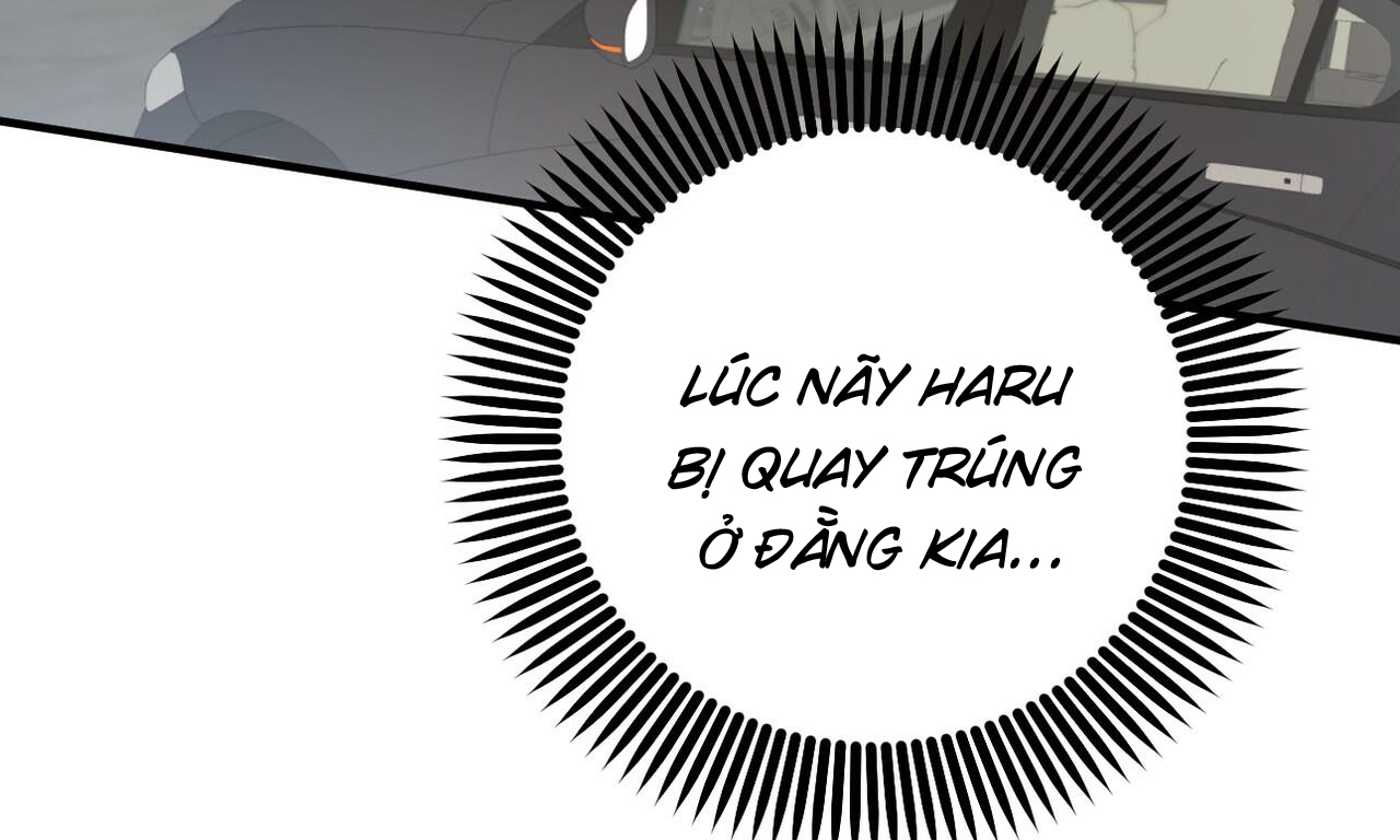 đàn thỏ của habibi chapter 50 180