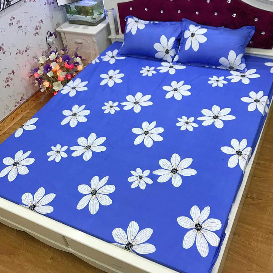 Set 3 món ga gối Poly cotton Hoa bèo tây PL2 + Tặng 1 vỏ gối ôm