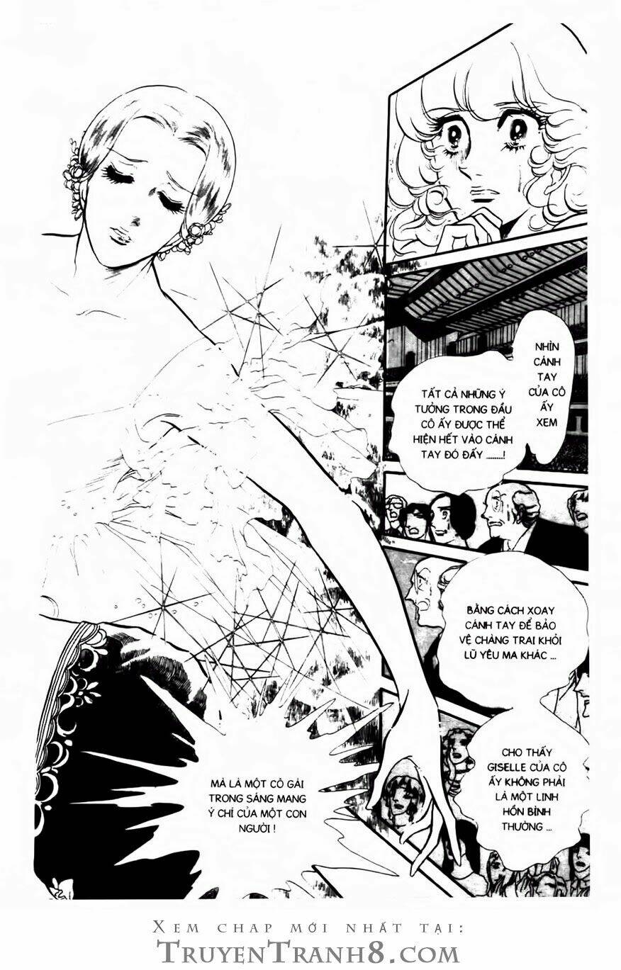 swan - vũ khúc thiên nga chapter 95 13