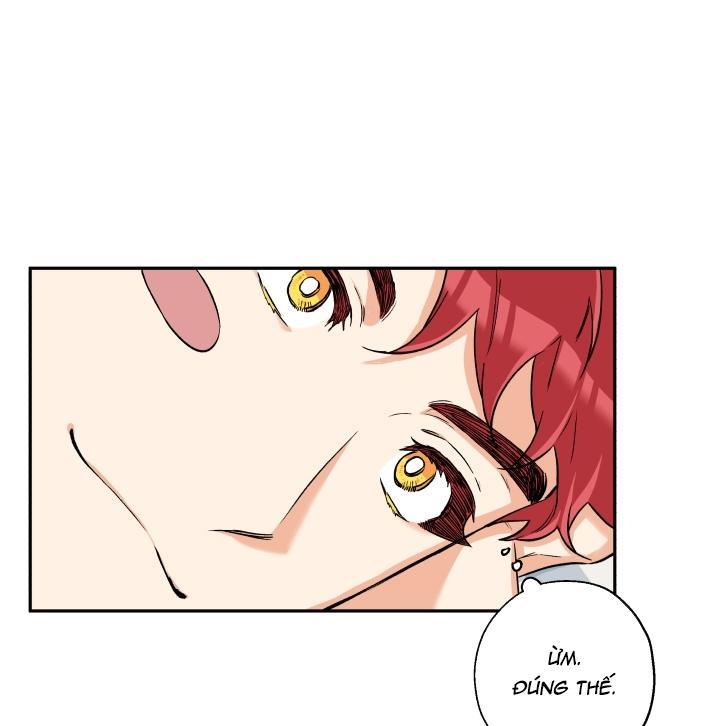 gâu gâu! chapter 19 58