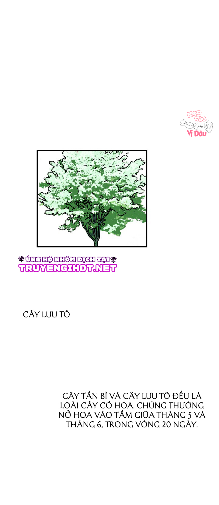 xin chào, mùa hạ chapter 1.1 1