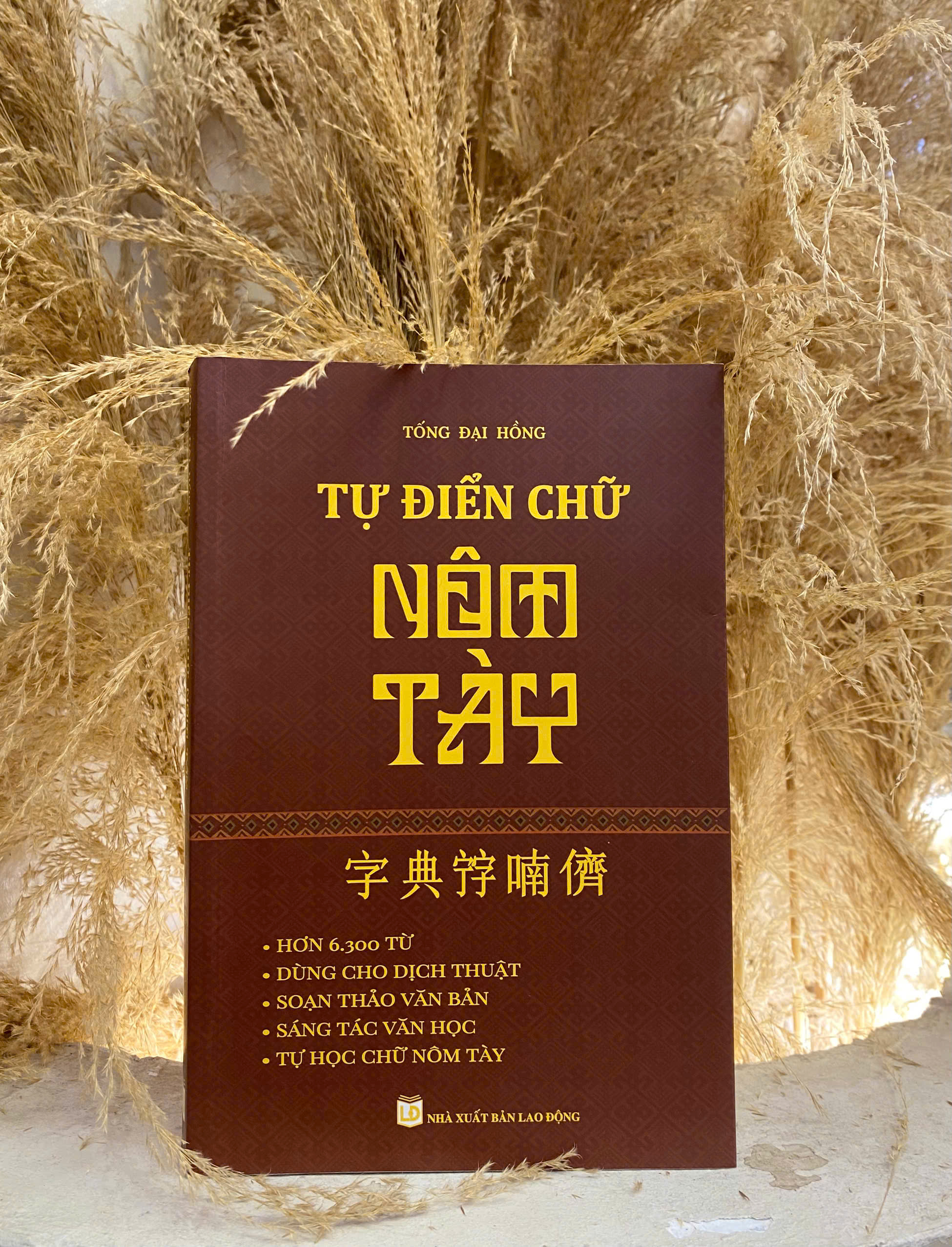 Sách - Từ điển chữ Nôm Tày - Tác giả Tống Đại Hồng - Trithuctrebooks - Khổ 16*24 cm