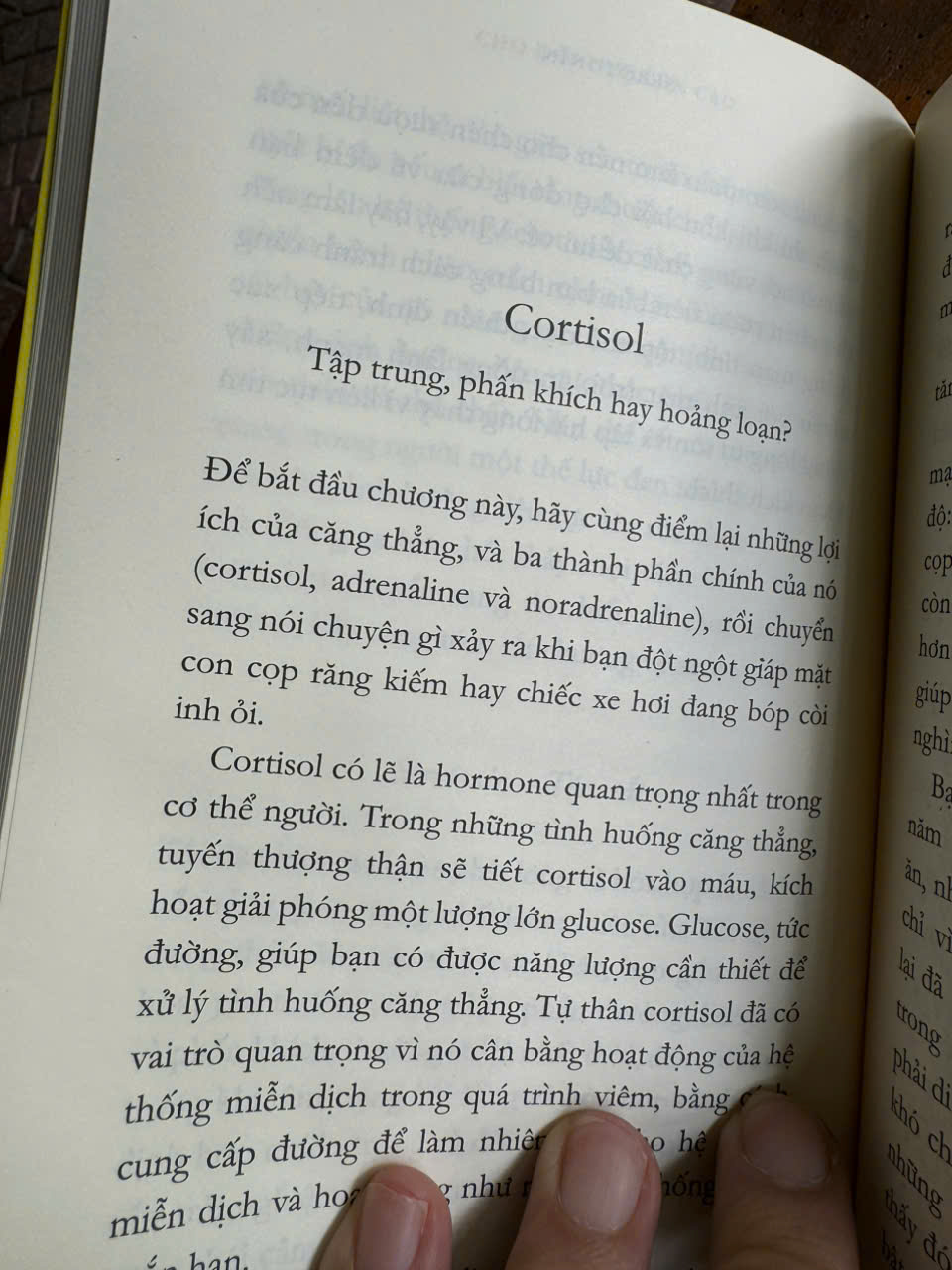 Sách - CHO ĐỜI NHẸ LÊN CAO - Giải Mã Sáu Hormone Hạnh Phúc - David J. P. Phillips - Trần Trọng Hải Minh dịch - NXB Trẻ