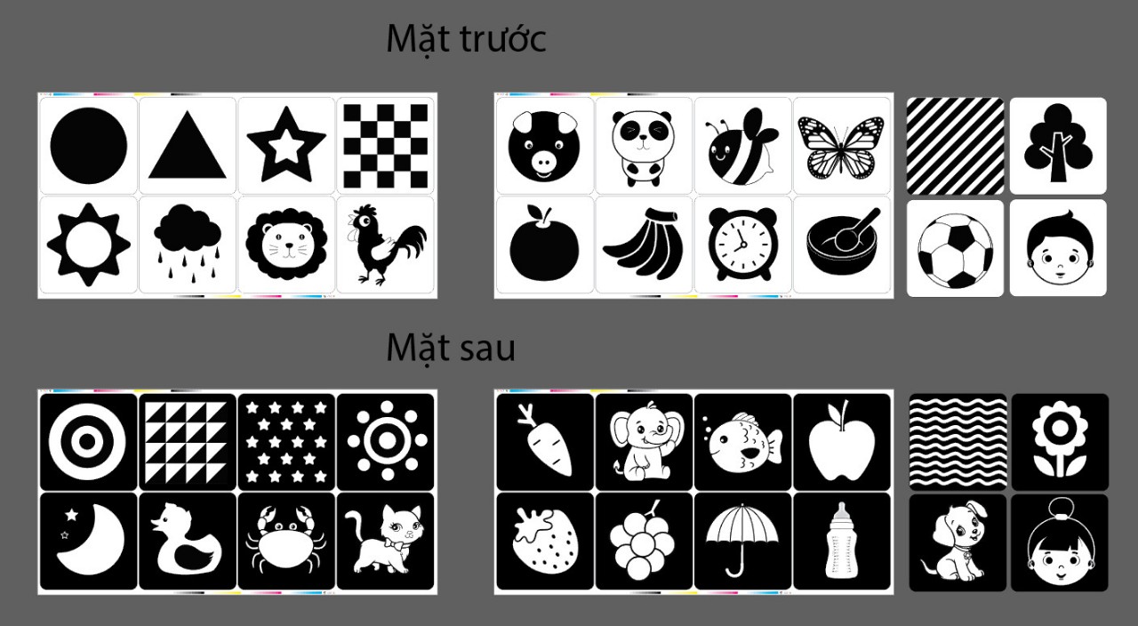 Flashcard Kích Thích Thị Giác (Dành Cho Trẻ Từ 0 Đến 1 Tuổi +) 4 Chủ Đề - KT 21x21 cm - 80 Thẻ