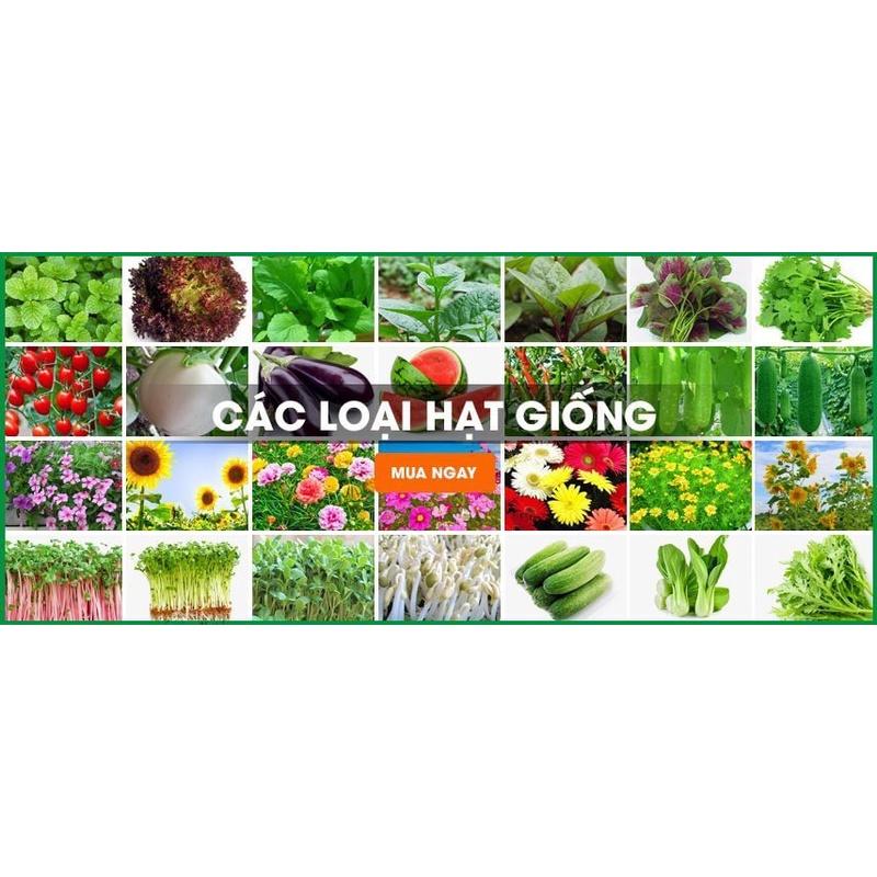 Hạt giống các loại rau củ - quả