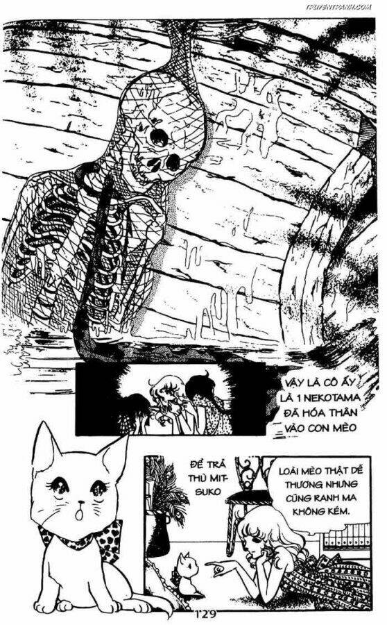 akuma no hanayome (bride of deimos) chapter 7.2 35