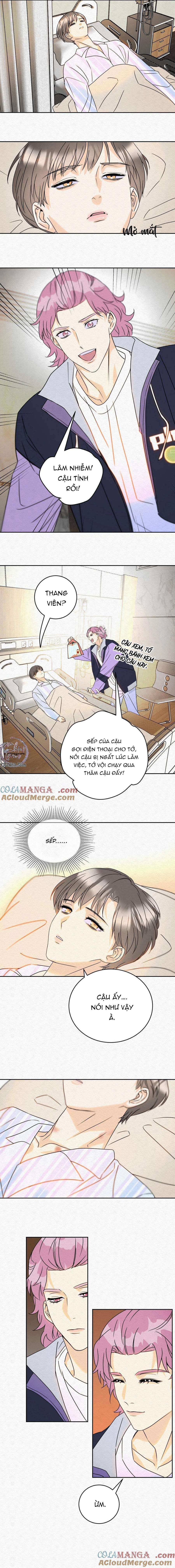 anh trai rẻ tiền của tôi chapter 18 7
