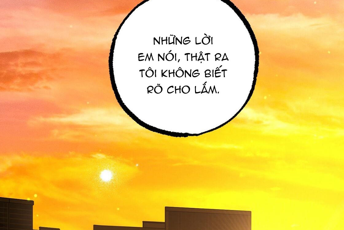 đàn thỏ của habibi chapter 24 228