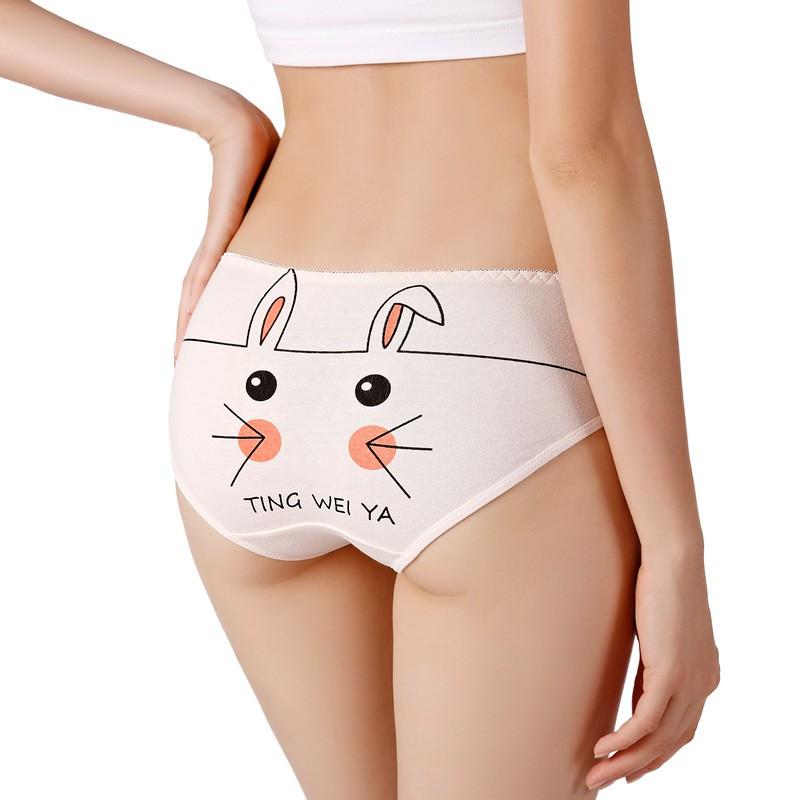 Quần Lót Nữ Cotton Kháng khuẩn Thời Trang Hình Thỏ Xuất Hàn Hàng Loại Đẹp.
