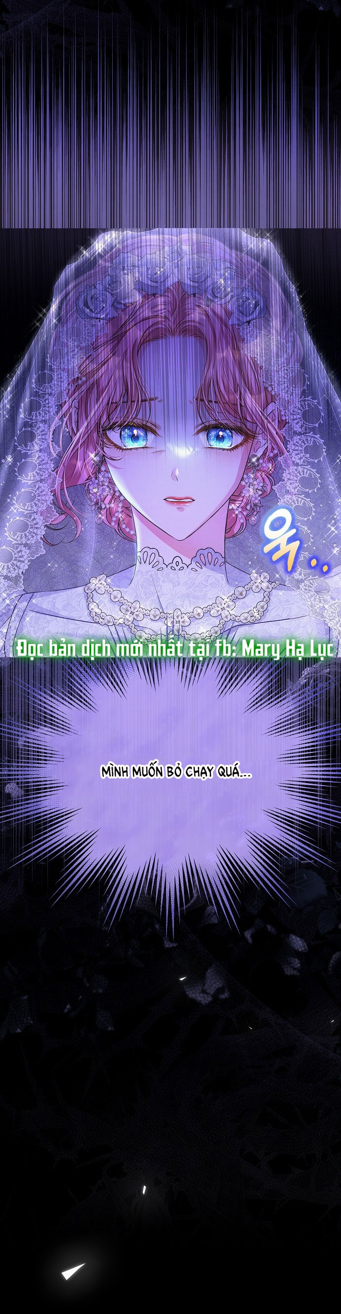 Có Lẽ Tôi Đã Sai Lầm Khi Kết Hôn chapter 1.1 - Trang 11