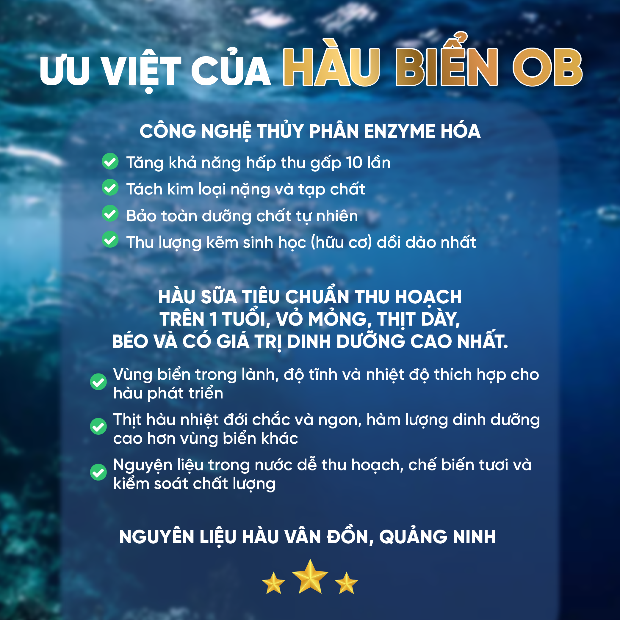 [COMBO 3 HỘP] Thực phẩm bảo vệ sức khỏe Hàu Biển OB - Tăng sinh chất lượng tinh trùng, Tăng cường sinh lý nam, hỗ trợ trị xuất tinh sớm (Hộp 30 viên)