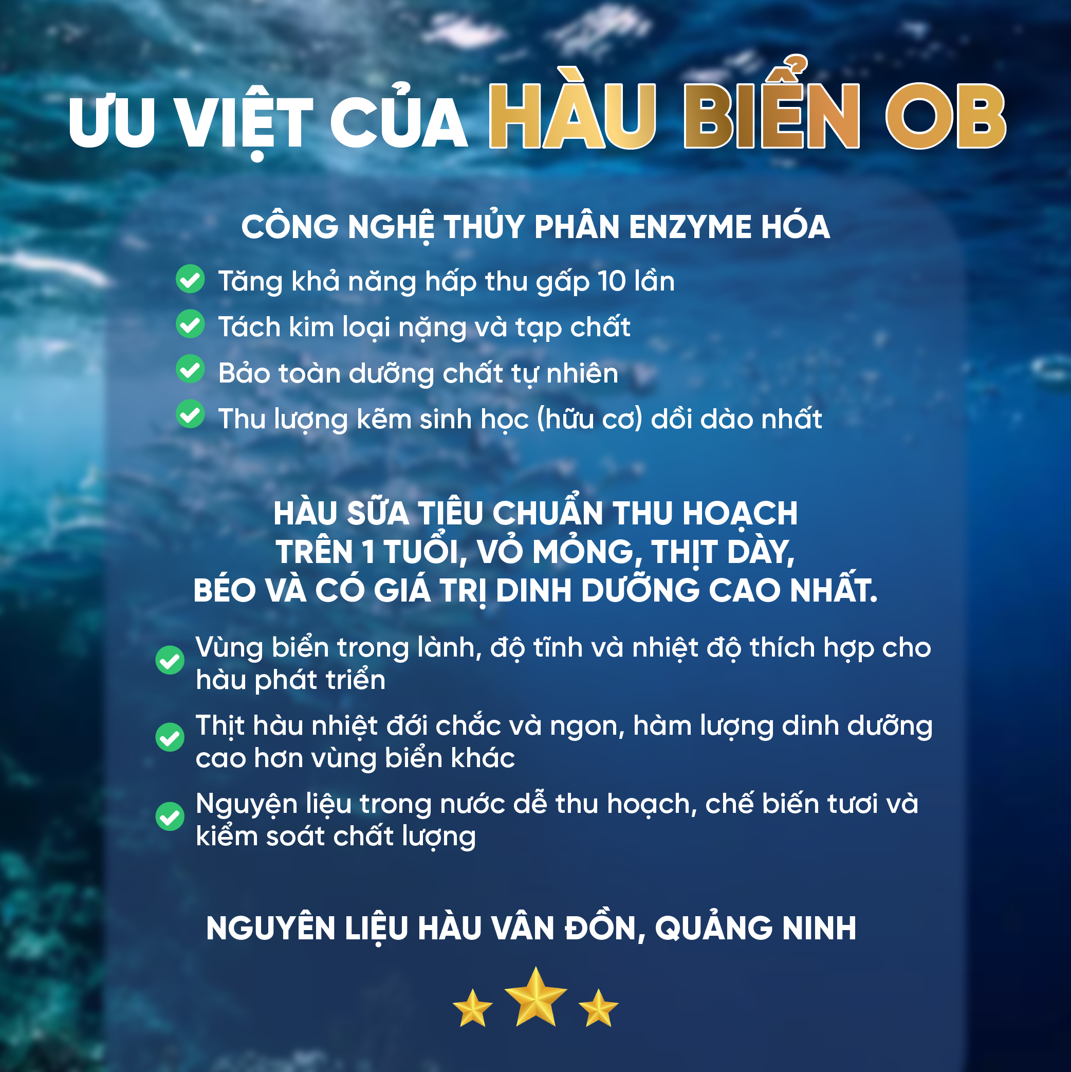 Thực phẩm bảo vệ sức khỏe Hàu Biển OB - Tăng sinh chất lượng tinh trùng, Tăng cường sinh lý nam, hỗ trợ trị xuất tinh sớm