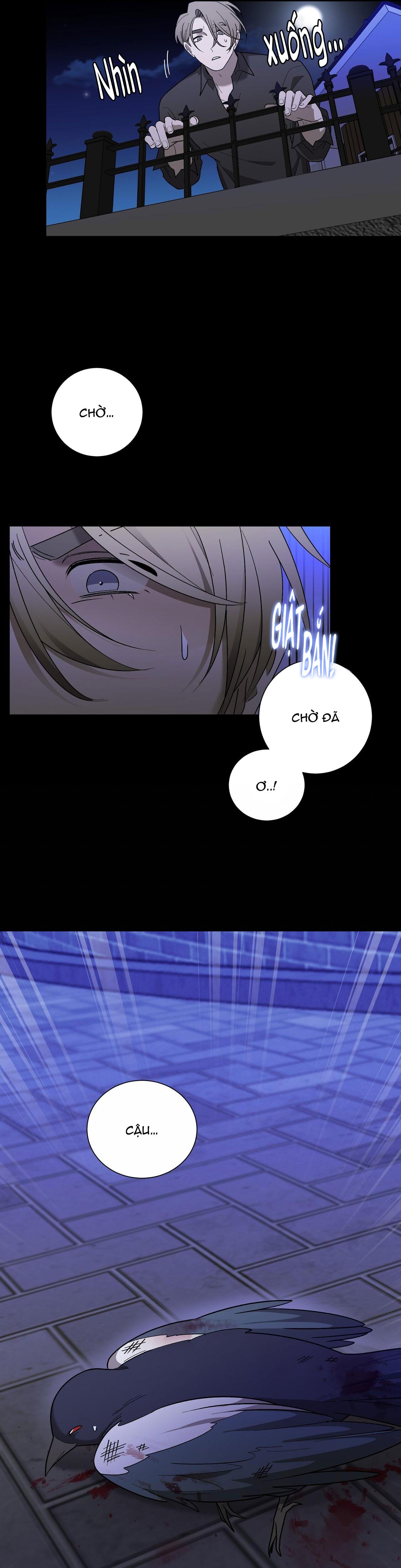 khi chim thước đến chapter 12 24