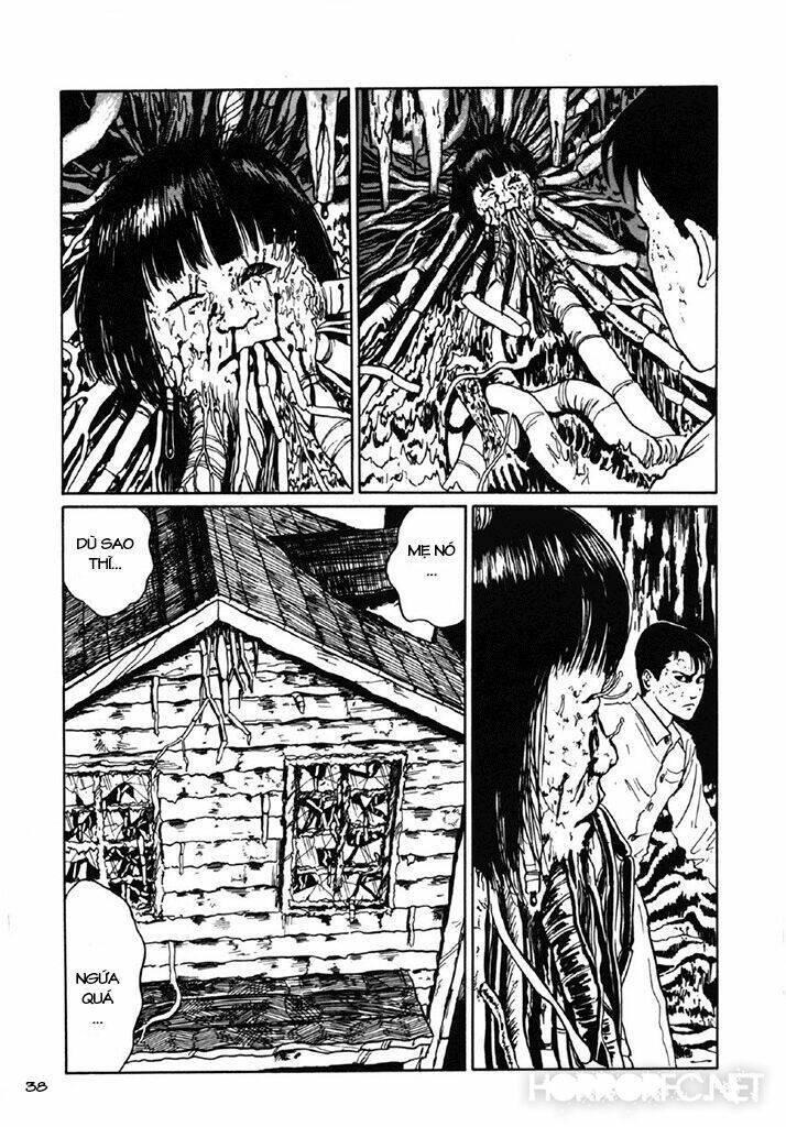 tuyển tập truyện ngắn kinh dị của ito junji chapter 7.3 40