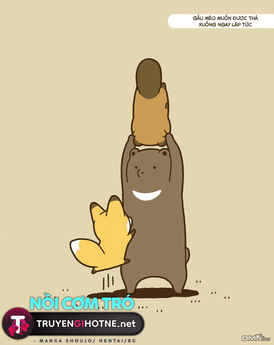 cáo và gấu mèo chapter 9 17