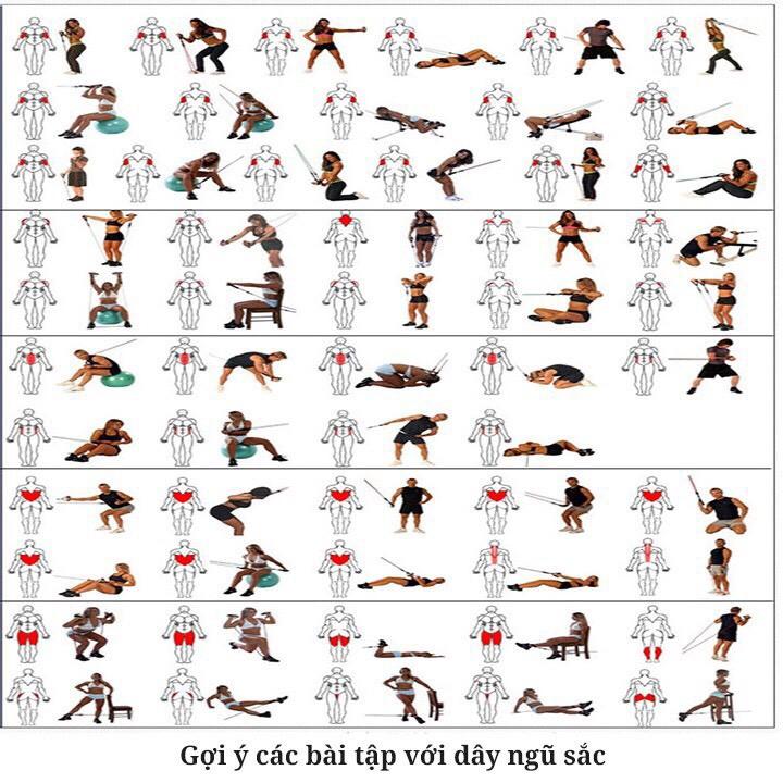 Bộ 5 Dây Ngũ Sắc Đàn Hồi Kháng Lực Tập Gym , Fitness , Yoga