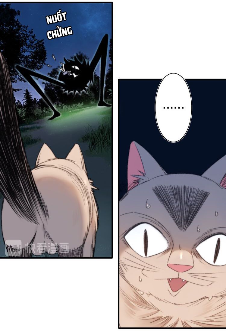 Lệnh Cấm Nghị Tộc 2 Ẩn Diện Trấn chapter 69 - Trang 11
