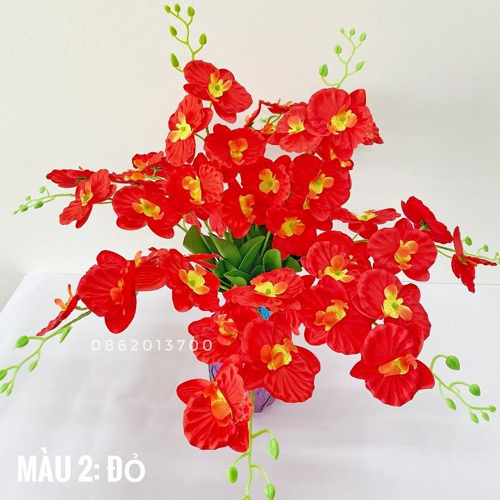 Combo 10 cành Hoa giả - Hoa Lan Hồ Điệp Lucas 60cm trang trí bền, đẹp, sang trọng