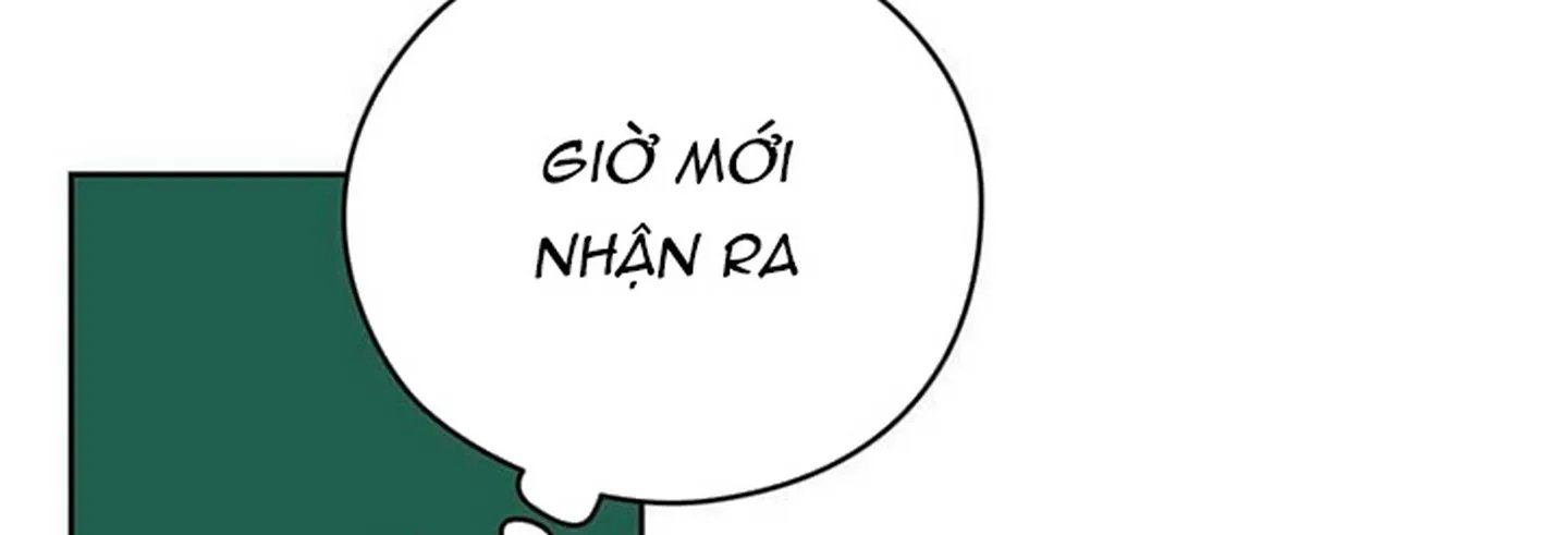 chuyện quái gì với giấc mơ đó vậy chapter 15 215