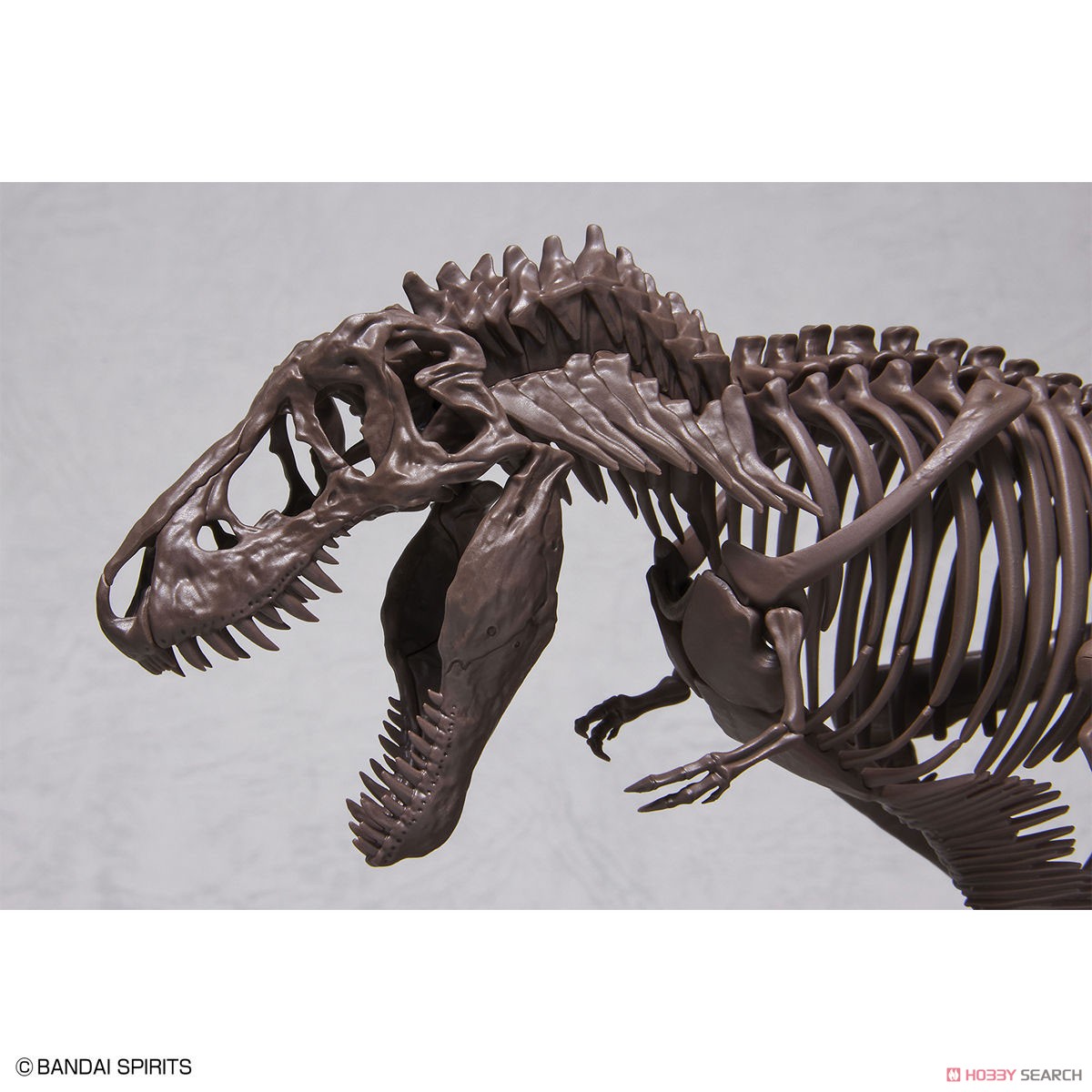 ĐỒ CHƠI 1/32 Imaginary Skeleton Tyrannosaurus MÔ HÌNH LẮP RÁP