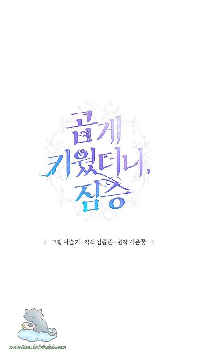 tôi đang nuôi dưỡng một con quái thú chapter 52 22