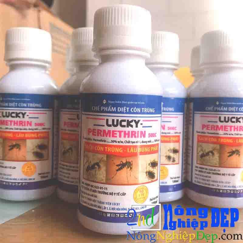 Thuốc Diệt Muỗi - Ruồi - Kiến - Gián Lucky permethrin 50ec 100ml