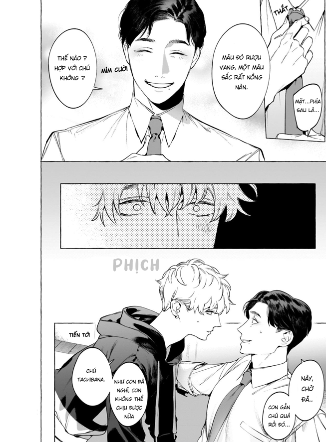 rượu, thuốc lá và những nụ hôn chapter 0 10