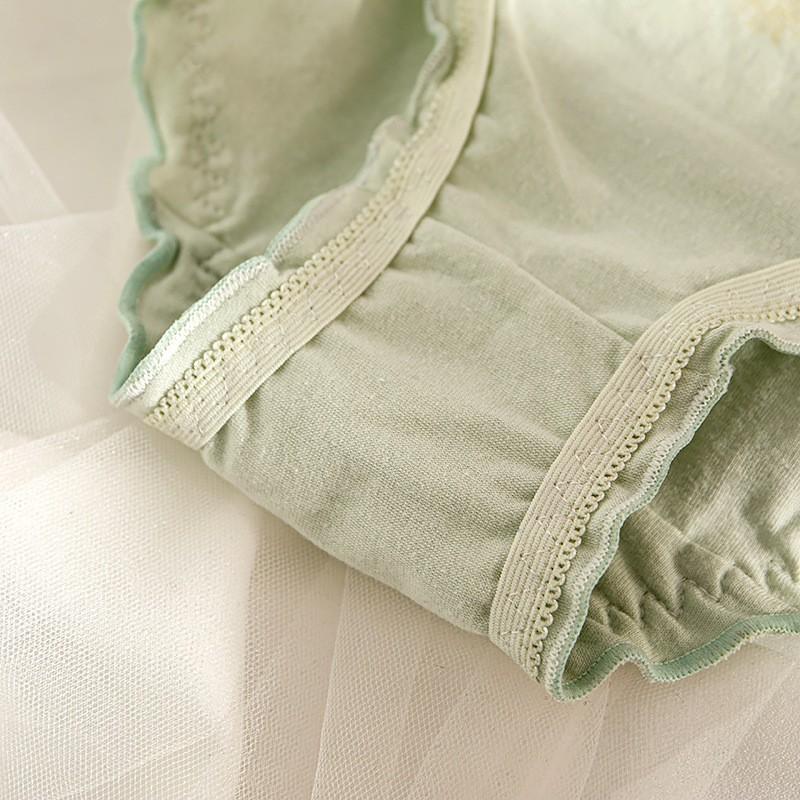 Quần Lót Nữ Cotton Cúc Họa Mi Xuất Nhật Hàng Loại Đẹp.