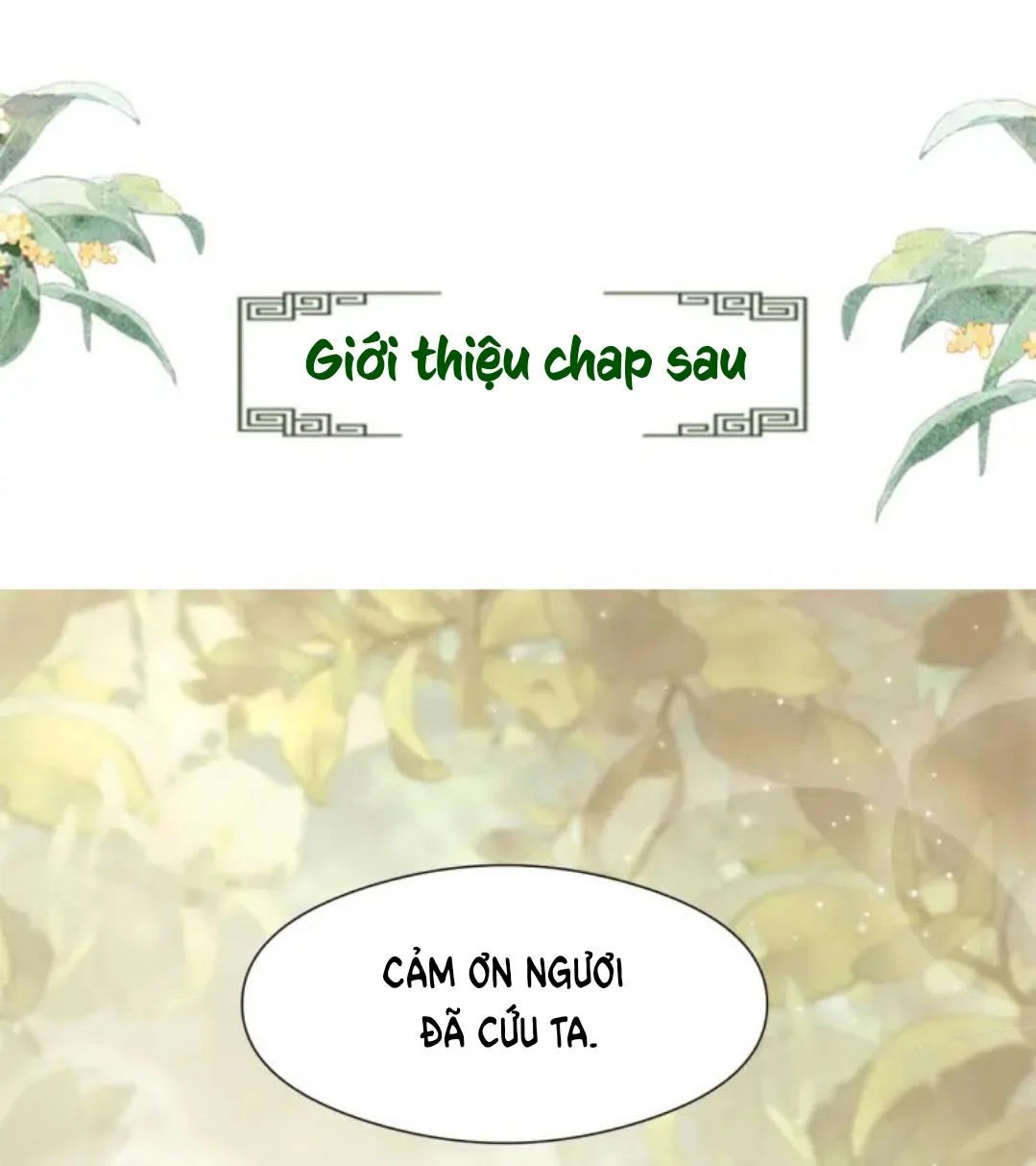 tướng quân luôn tự coi mình thành thế thân chapter 2 79