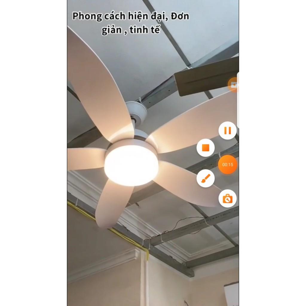 Quạt trần trang trí 5 cánh trắng