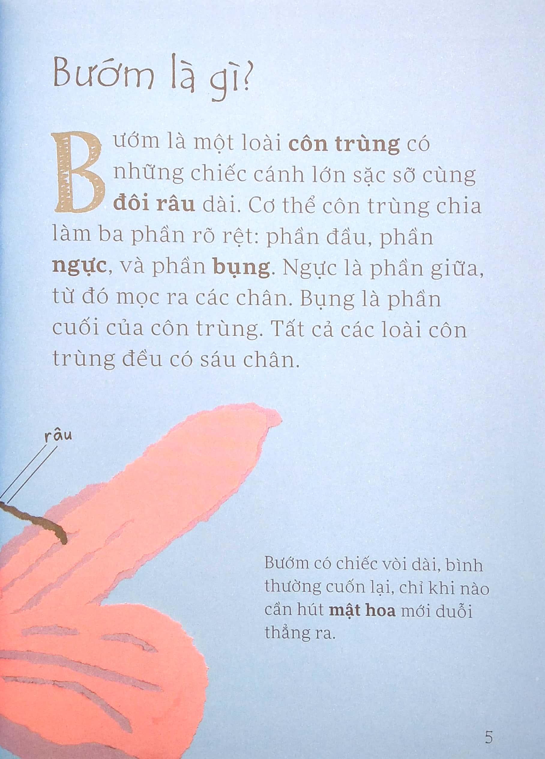 Sách Lâu Đài Khoa Học Của Em: Tại Sao Bướm Vua Lại Di Cư?