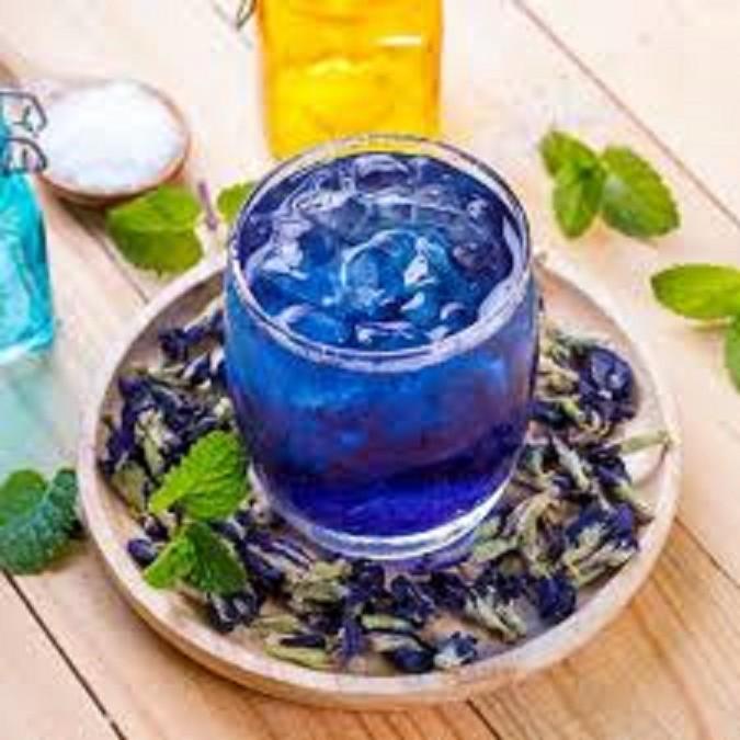 CHẬU HOA ĐẬU BIẾC - GIAO HÀNG CẢ CHẬU