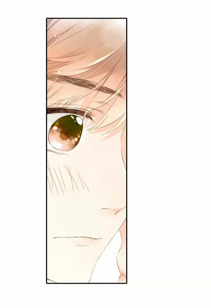 Tình yêu là màu hoa anh thảo chapter 26.2 38