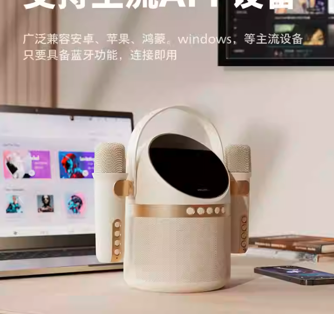 LOA KARAOKE TẶNG KÈM 2 MICRO TAS2508WT/93 SỬ DỤNG ĐỂ NGHE NHẠC VÀ HÁT-HT