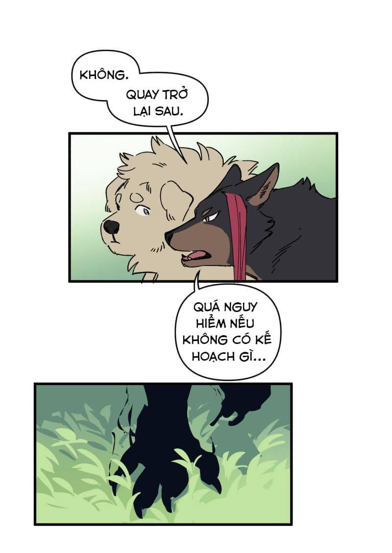 lumine - cội nguồn ánh sáng chapter 142 27