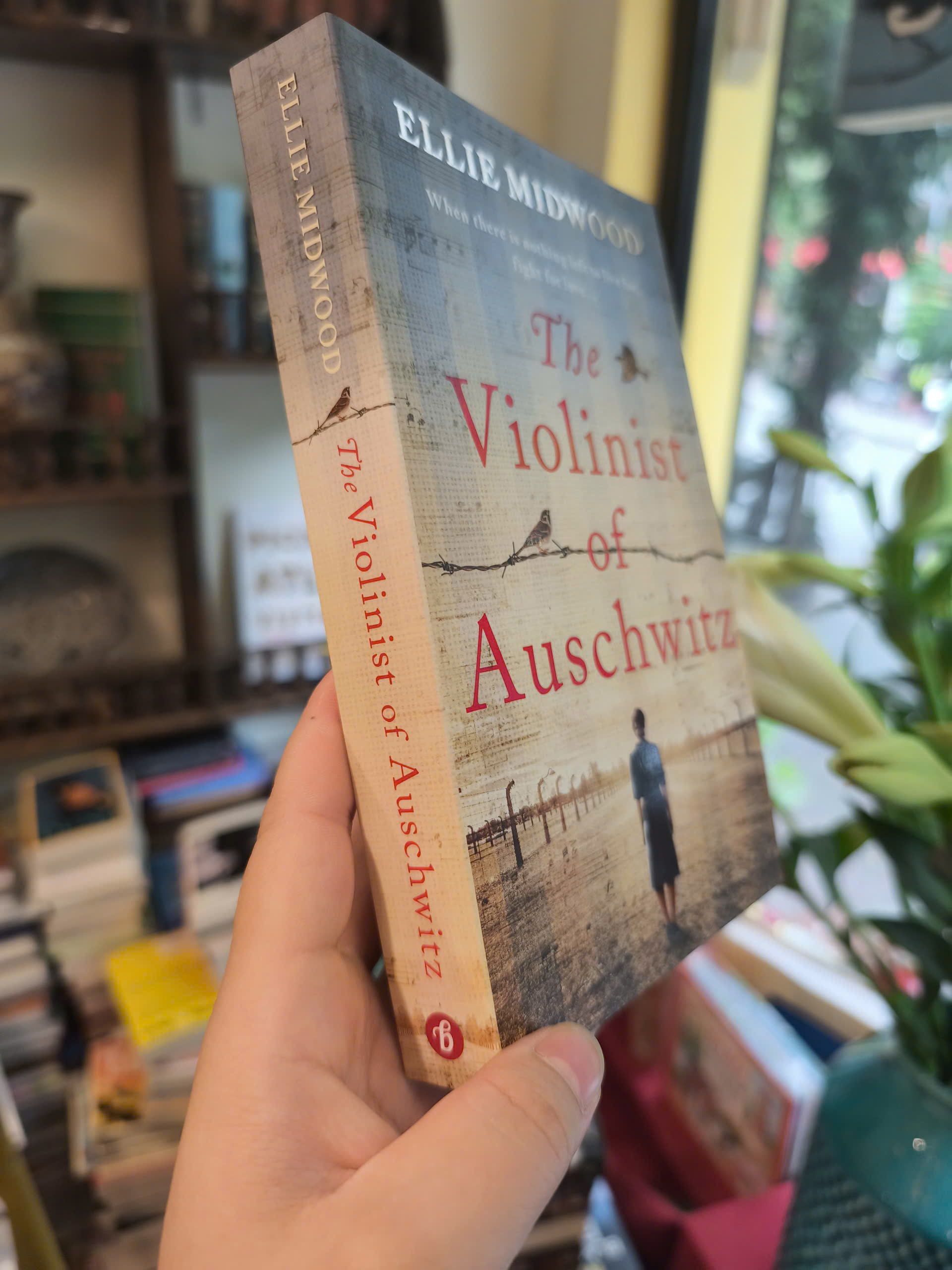 Sách - The Violinist of Auschwitz by Ellie Midwood | Historical Fiction / Holocaust / Ngoại văn