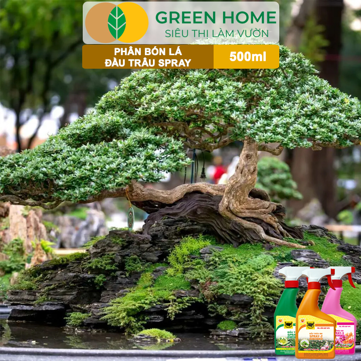 Bộ 3 Phân Bón Lá Đầu Trâu Spray 1, 2, 3 Greenhome, Bình Điền, Chai 500ml, Cao Cấp, Chuyên Cho Hoa Kiểng