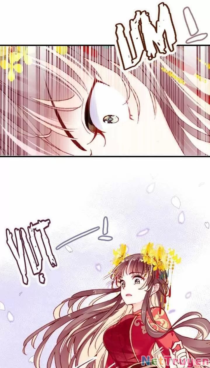 lại bị bệnh chiều chuộng quấn lấy chapter 5 13