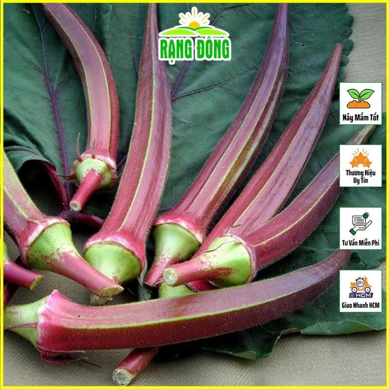 Hạt giống Đậu Bắp Đỏ Trồng Quanh Năm, Cây Sinh Trưởng Khỏe - Hạt giống Rạng Đông